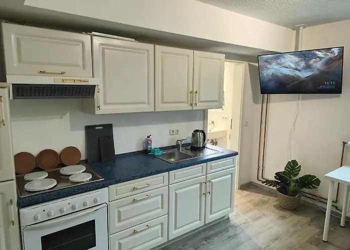 With Garden In 公寓 *