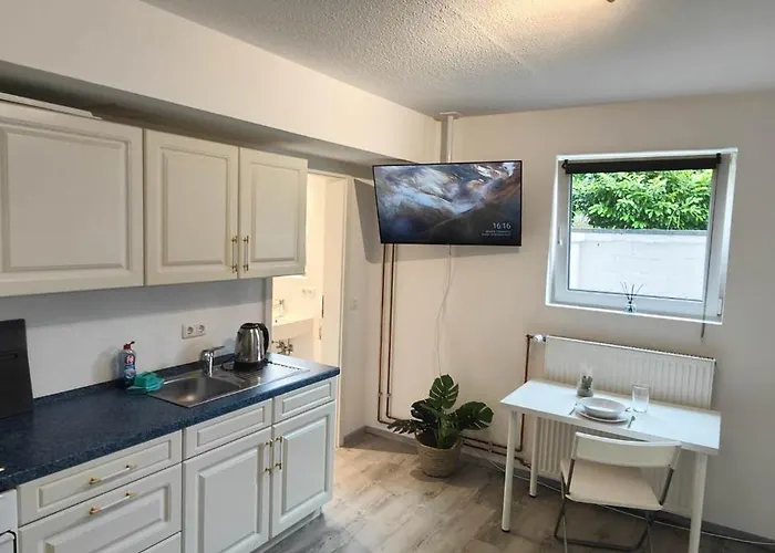 With Garden In 公寓 *